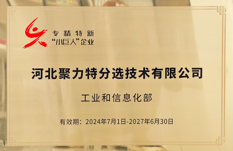 2024年國家級專精特新小巨人_副本.png